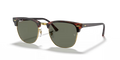 CLUBMASTER (ASIA FIT)